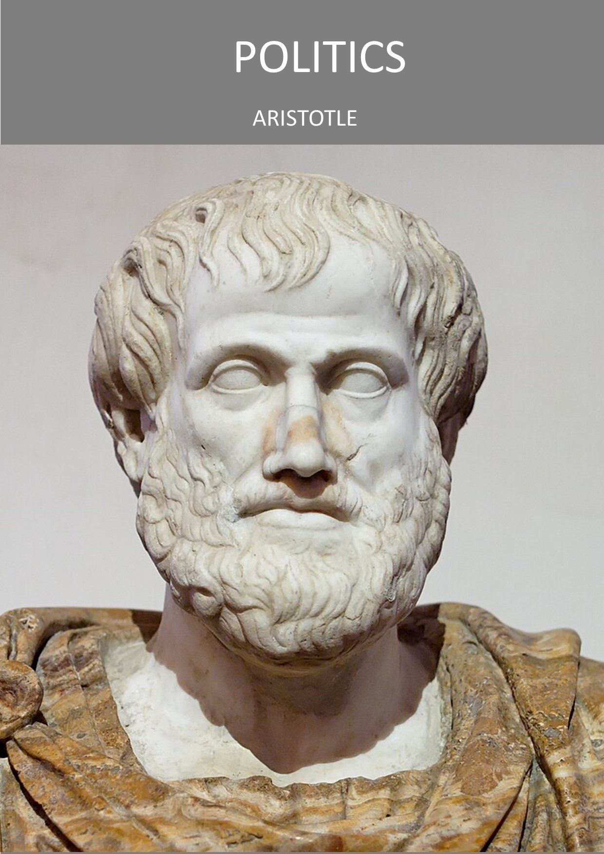Politics_ cover